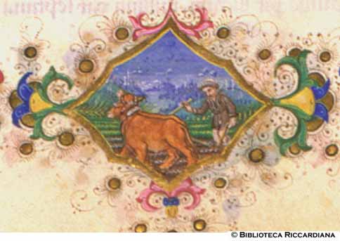Novembre: l’ aratura, c. VIr