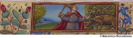 Novembre: l’allevamento del maiale, c. 11v