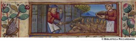 Dicembre: la cottura del maiale, c. 12v