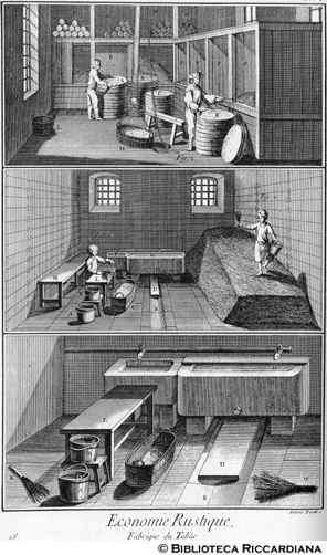 Tav. 26 - Economia rurale: fabbricazione del  tabacco (pulitura, cernita e bagnatura delle foglie).