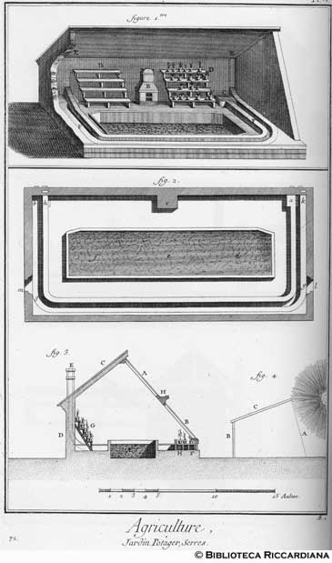 Tav. 72 - Agricoltura: orticoltura (serre)