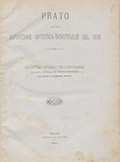 Title-page of the volume: Prato e la sua esposizione artistica-industriale del 1880 : Bollettino ufficiale dell'esposizione. ... .